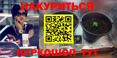 сатива Донецк