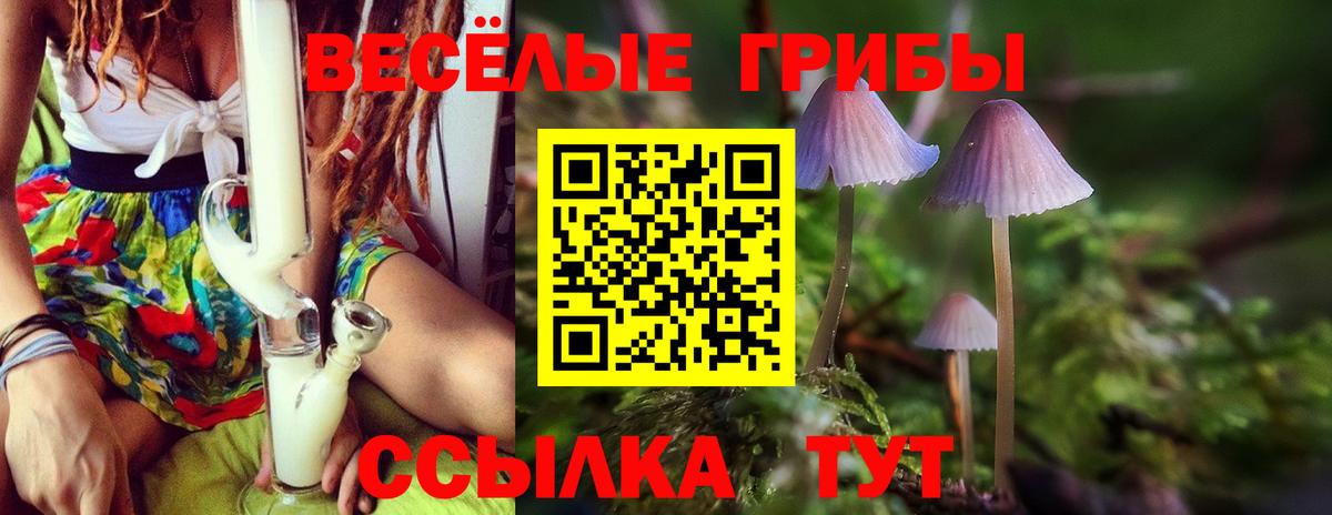 Псилоцибиновые грибы Cubensis  купить  сайты  Мариинск  Вход с VPN 